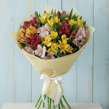 Букет цветов из:  Альстромерии #REPLACE_PRED# Бужаниново