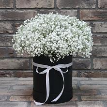 Цветочная композиция из Гипсофила в шляпной коробке в Бужаниново