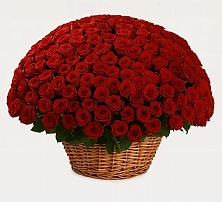 Премиум букет из: Розы в Бужаниново